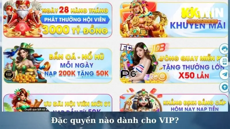 Đặc quyền nào dành cho VIP?