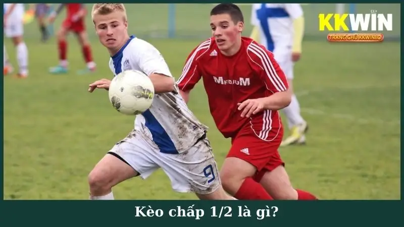 Kèo chấp 1/2 là gì?