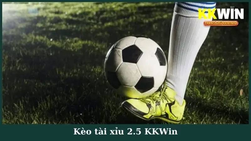 Kèo tài xỉu 2.5