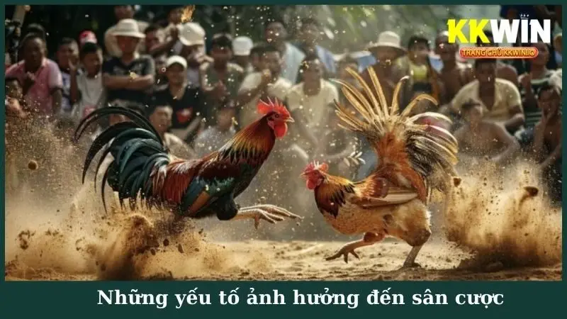 Những yếu tố ảnh hưởng đến sân cược