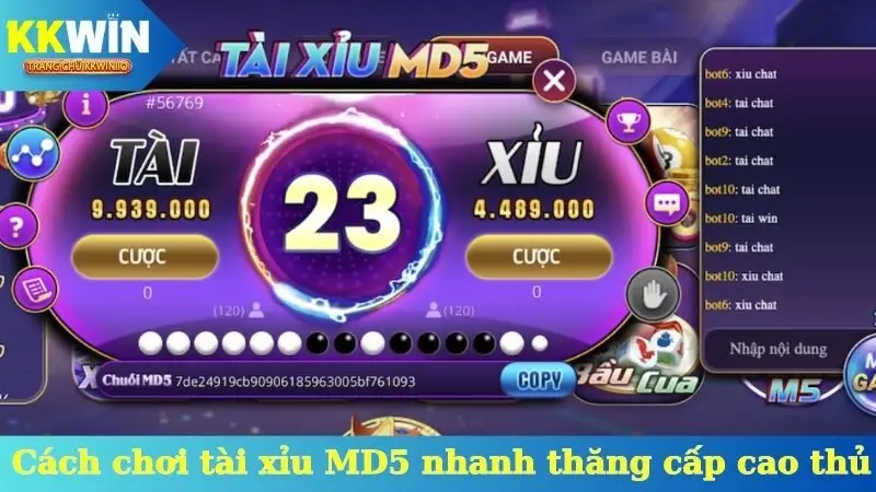 Cách chơi tài xỉu MD5 nhanh thăng cấp cao thủ
